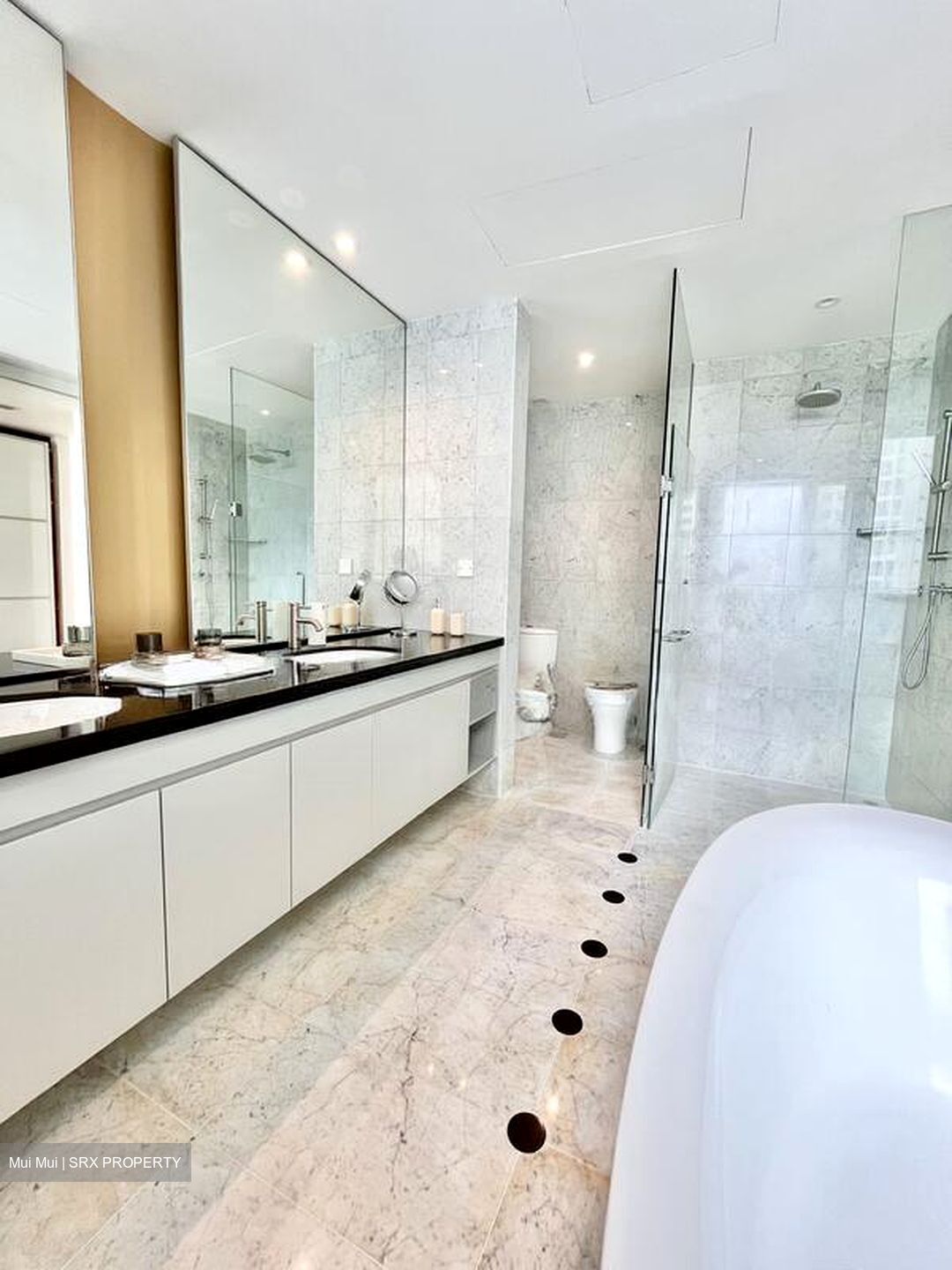 Draycott Eight (D10), Condominium #509989711